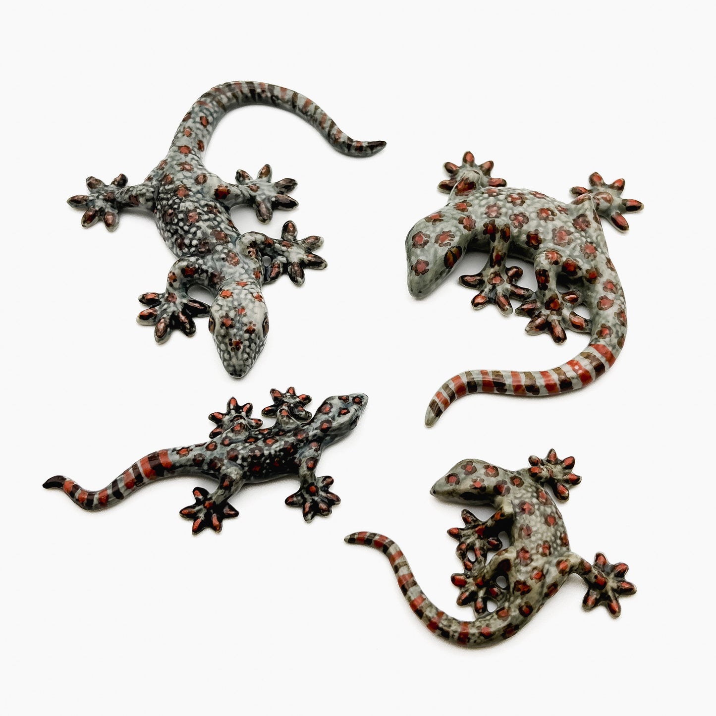 4 Grey Gecko Lizard