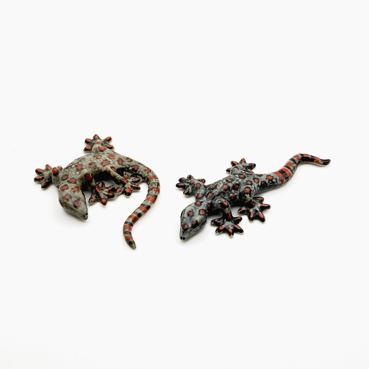 4 Grey Gecko Lizard