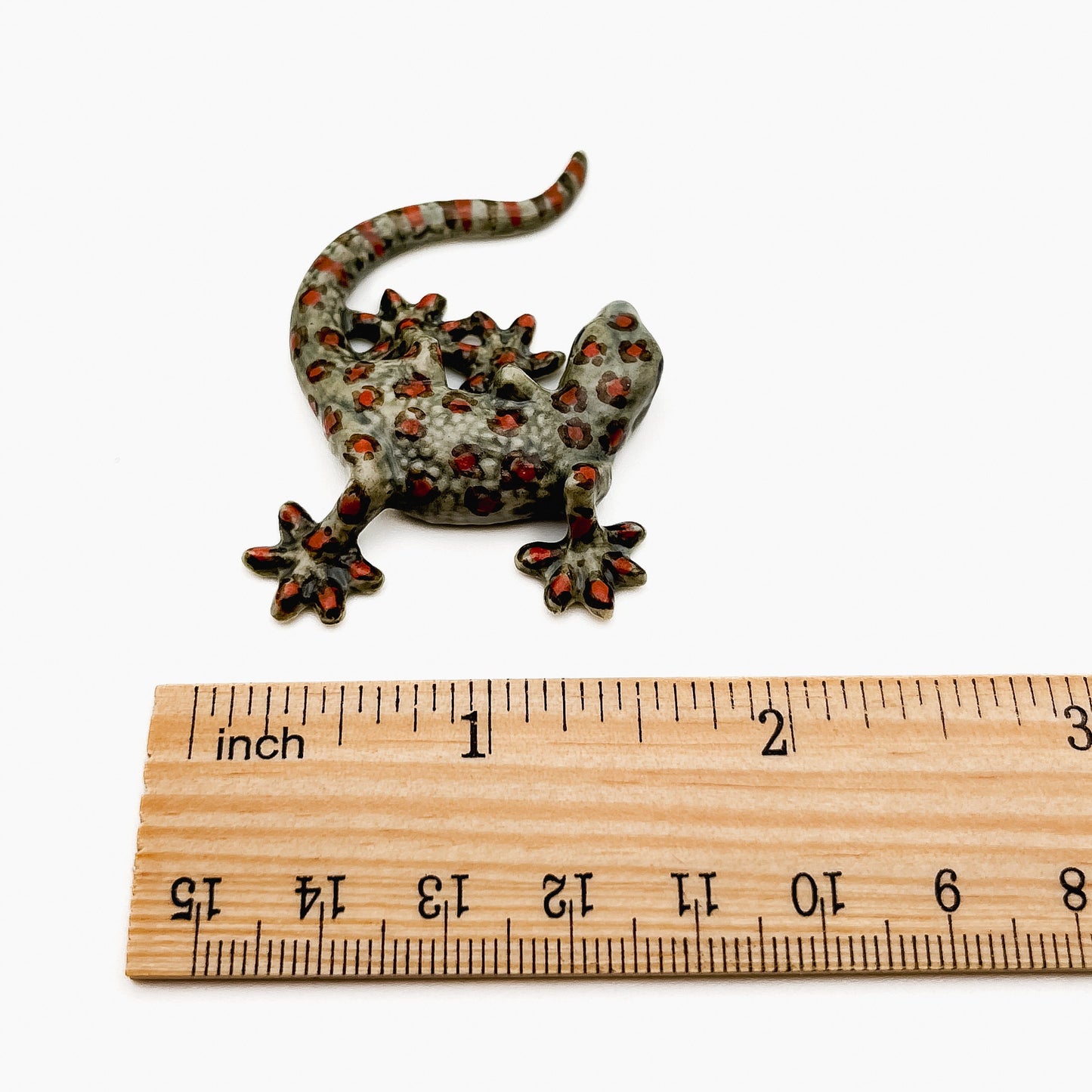 4 Grey Gecko Lizard