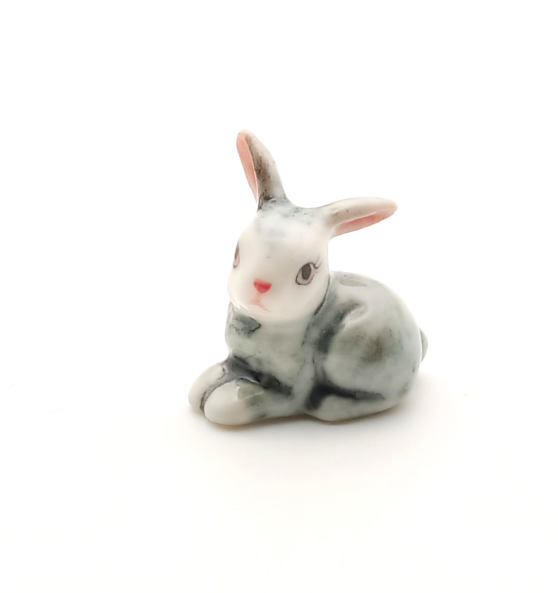 Mini Bunny Rabbits