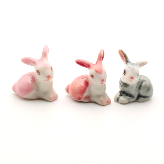 Mini Bunny Rabbits