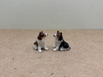 Tiny Miniature Dogs