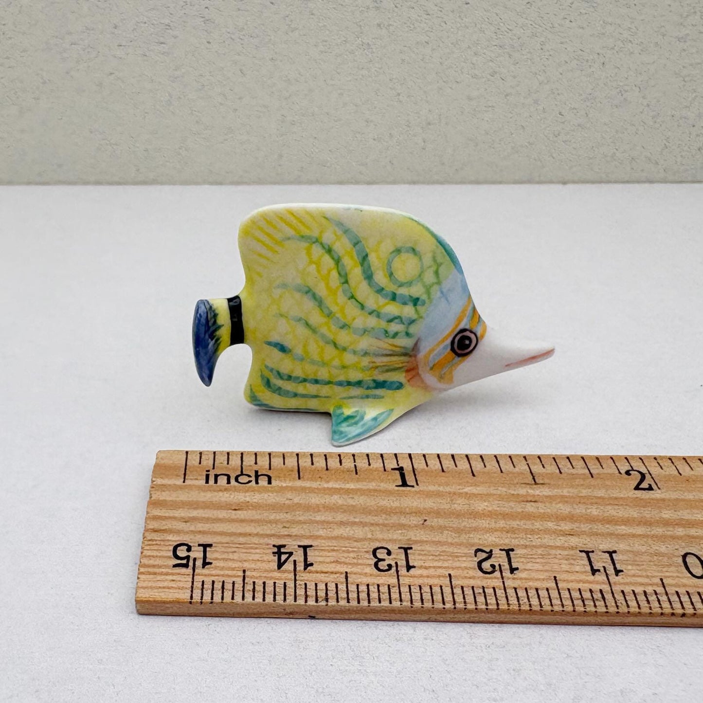 Tropical Butterflyfish