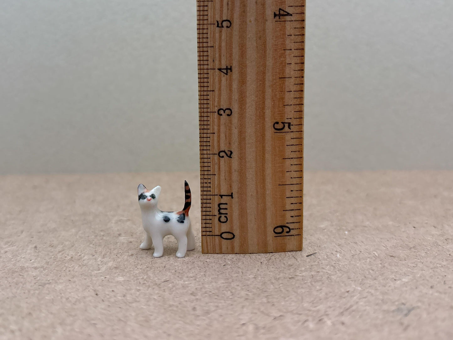 Kitten Set