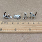 Kitten Set