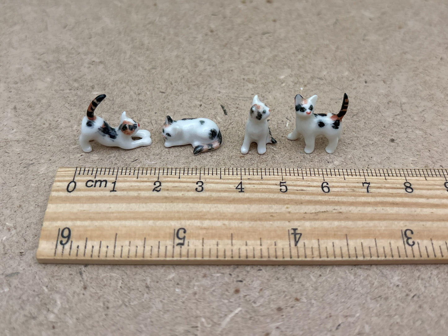 Kitten Set
