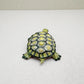 Red-Eared Slider Turtle
