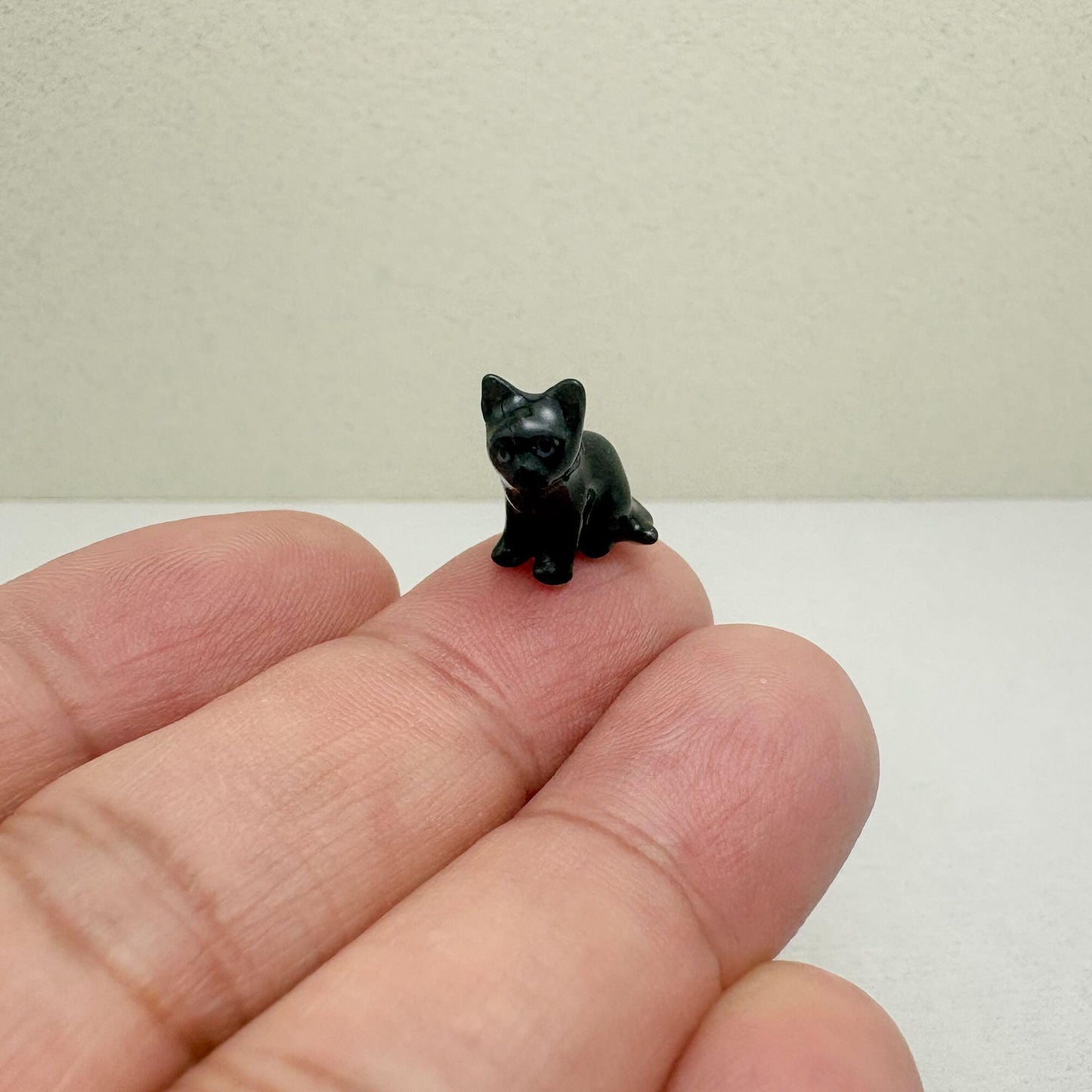 The Shadow Kitten