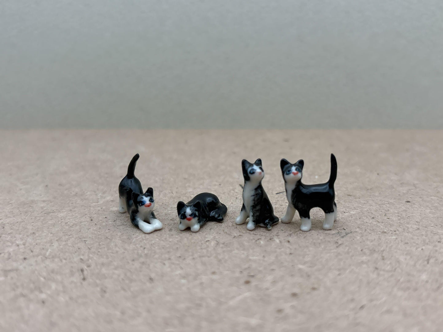 Kitten Set