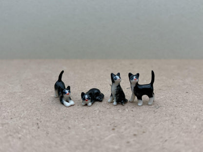 Kitten Set