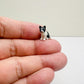 Tiny Tabby Cat