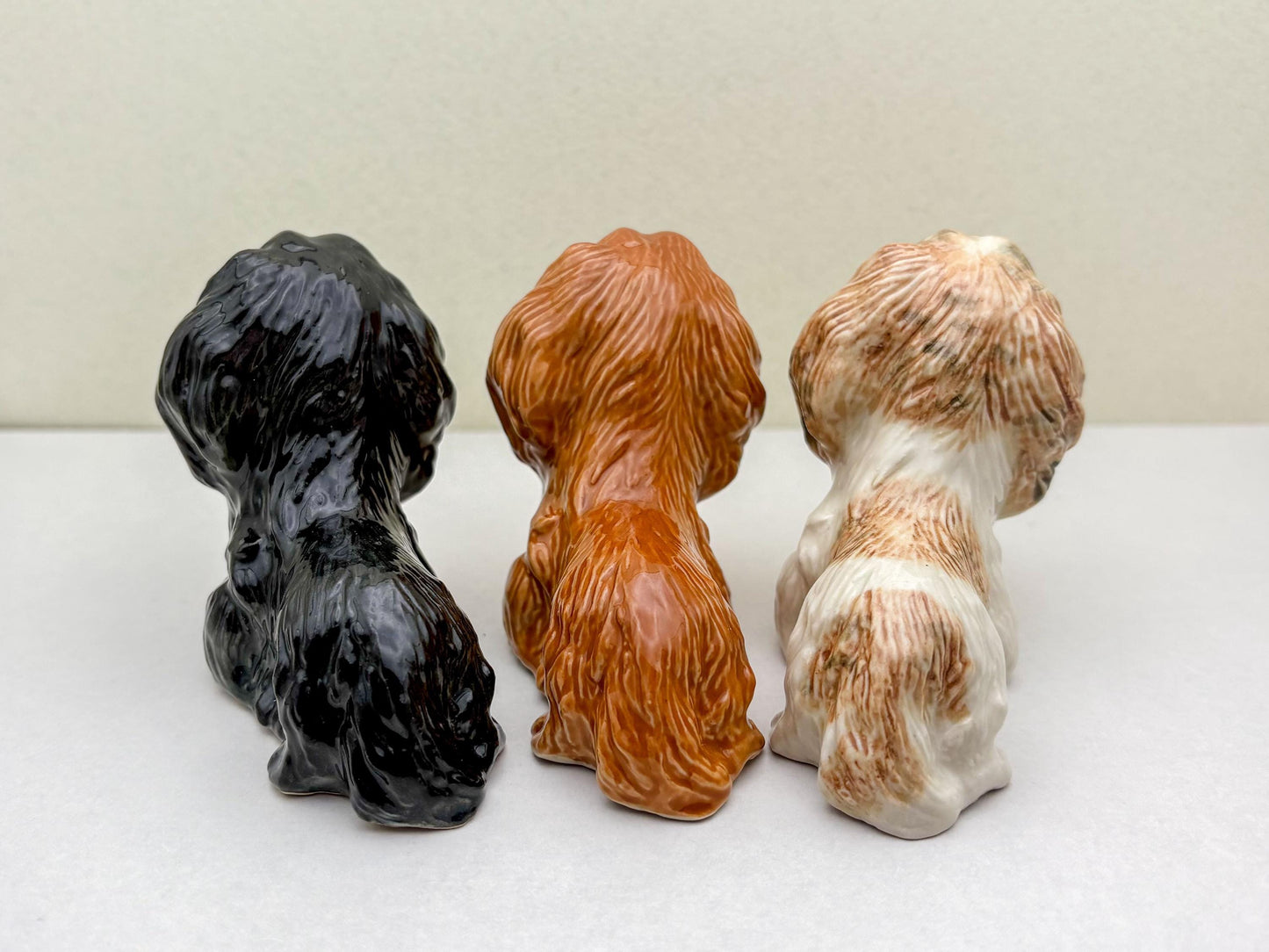 Long-Haired Dachshund