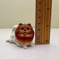 Reddish-Brown Pomeranian set