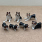 Tiny Miniature Dogs