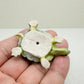 Red-Eared Slider Turtle
