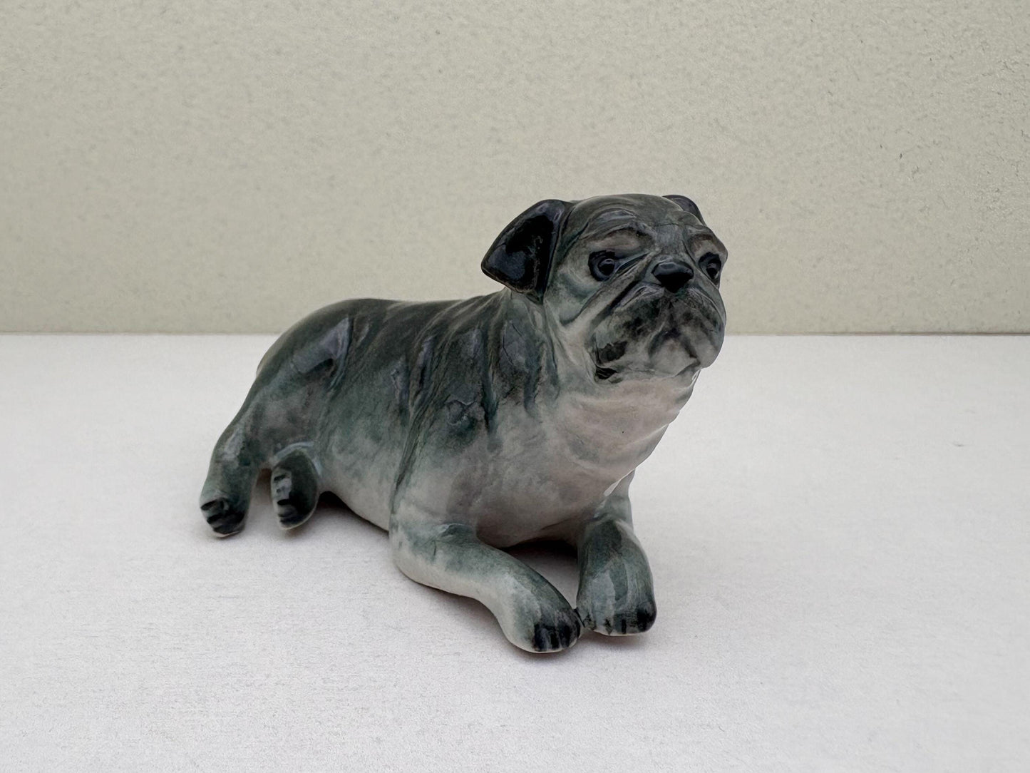 Sleek Black Pugs