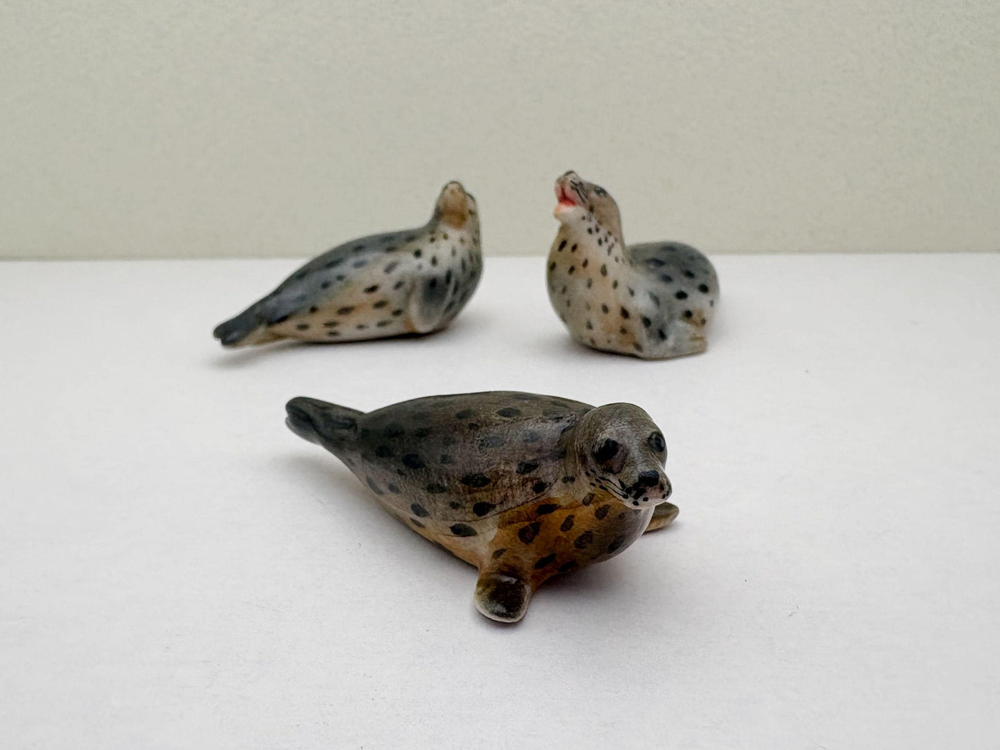 Sea Lions
