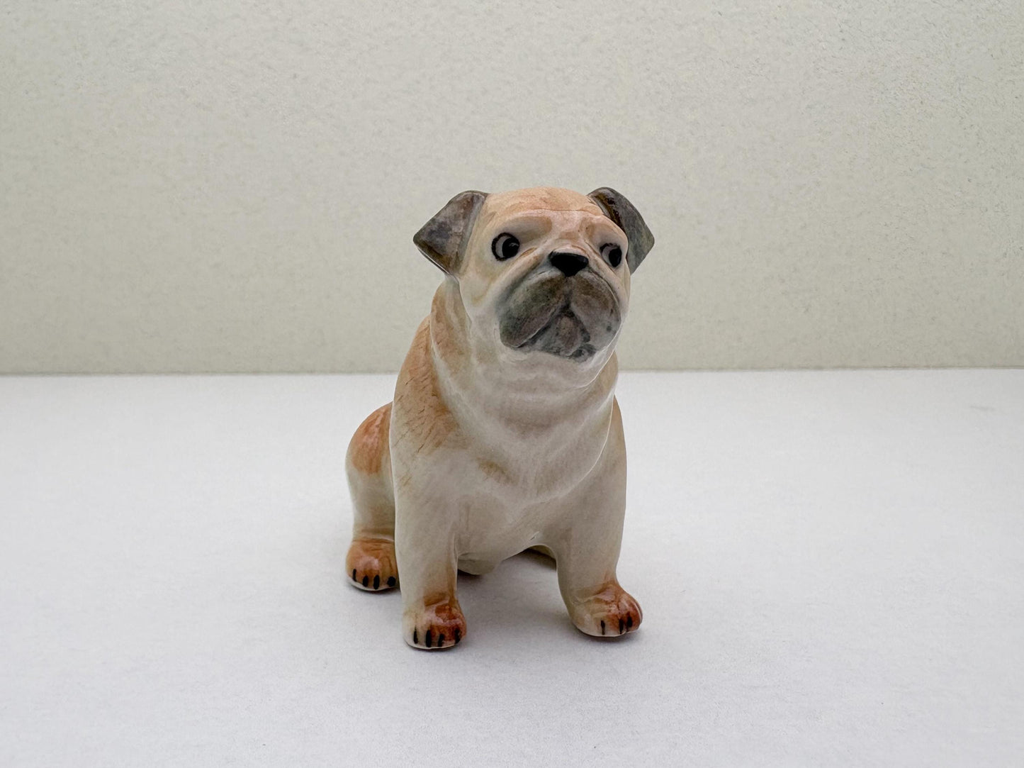Classic Fawn Pugs