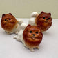 Reddish-Brown Pomeranian set