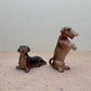 Sitting & Begging Dachshunds