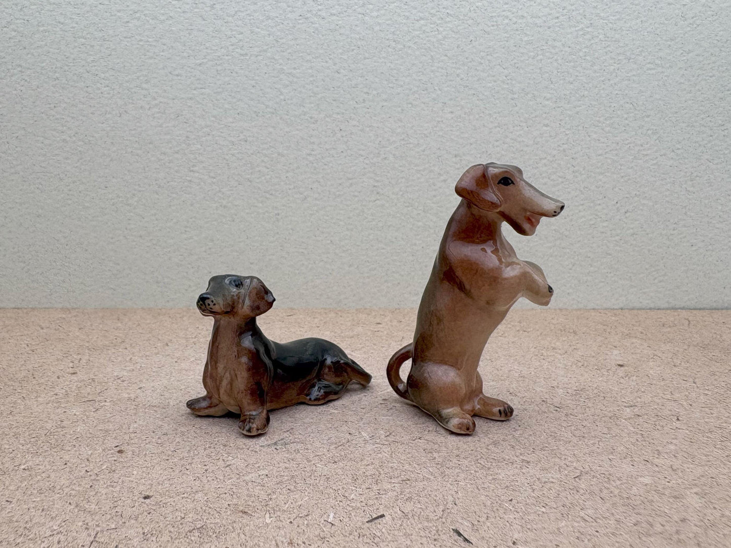 Sitting & Begging Dachshunds