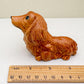 Long-Haired Dachshund