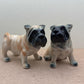 2 Shar Pei