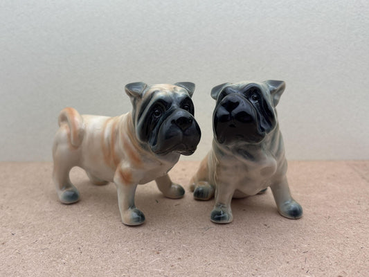 2 Shar Pei