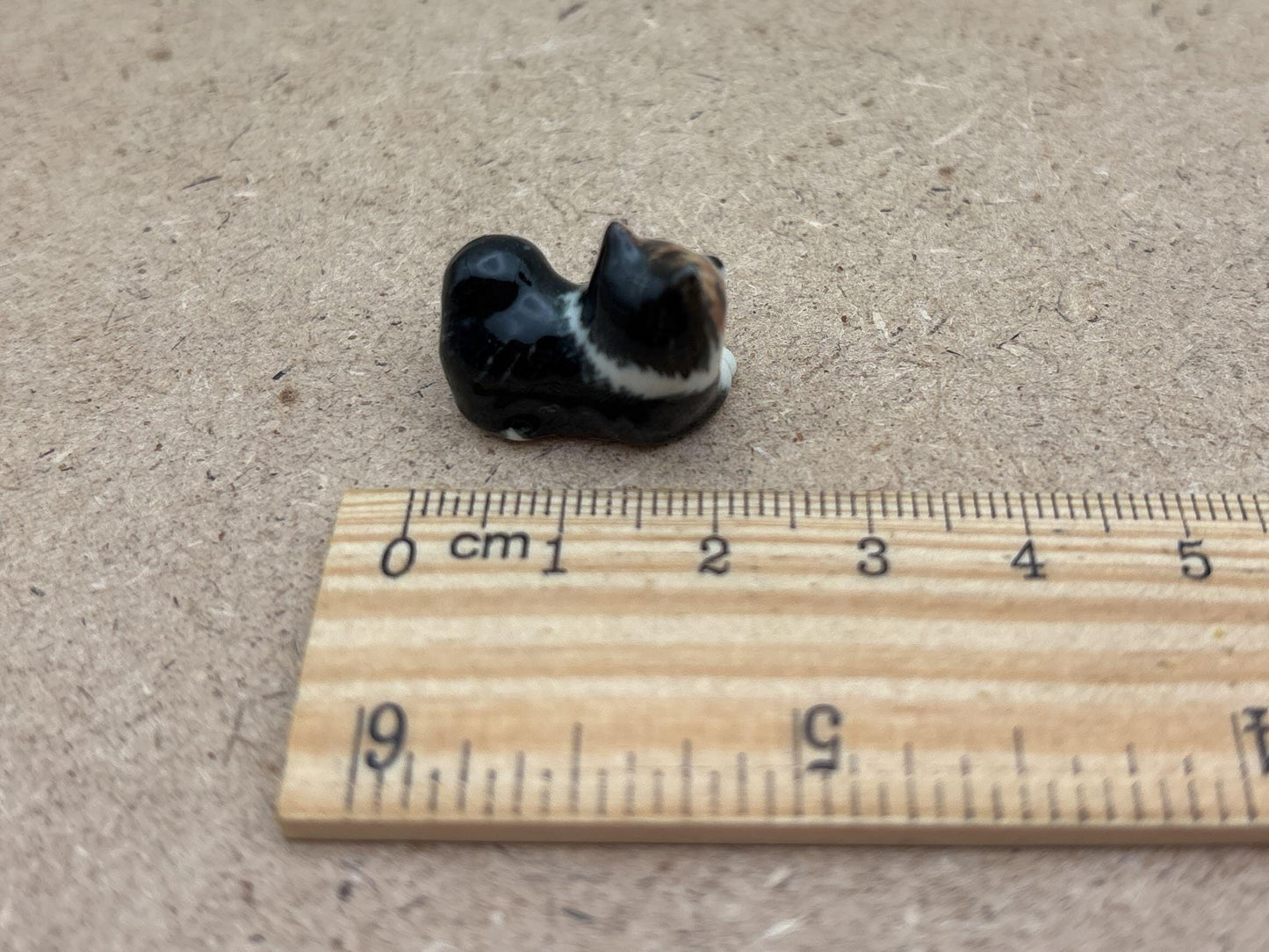 Tiny Miniature Dogs