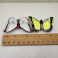 Butterfly: Yellow & Black Home Decor