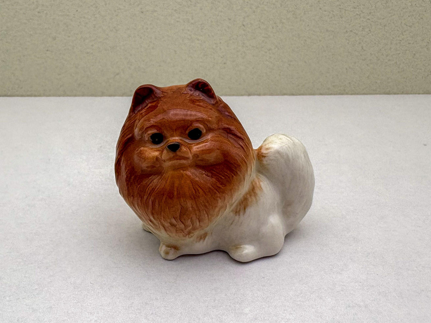 Reddish-Brown Pomeranian set