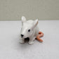 Tiny White Mouse