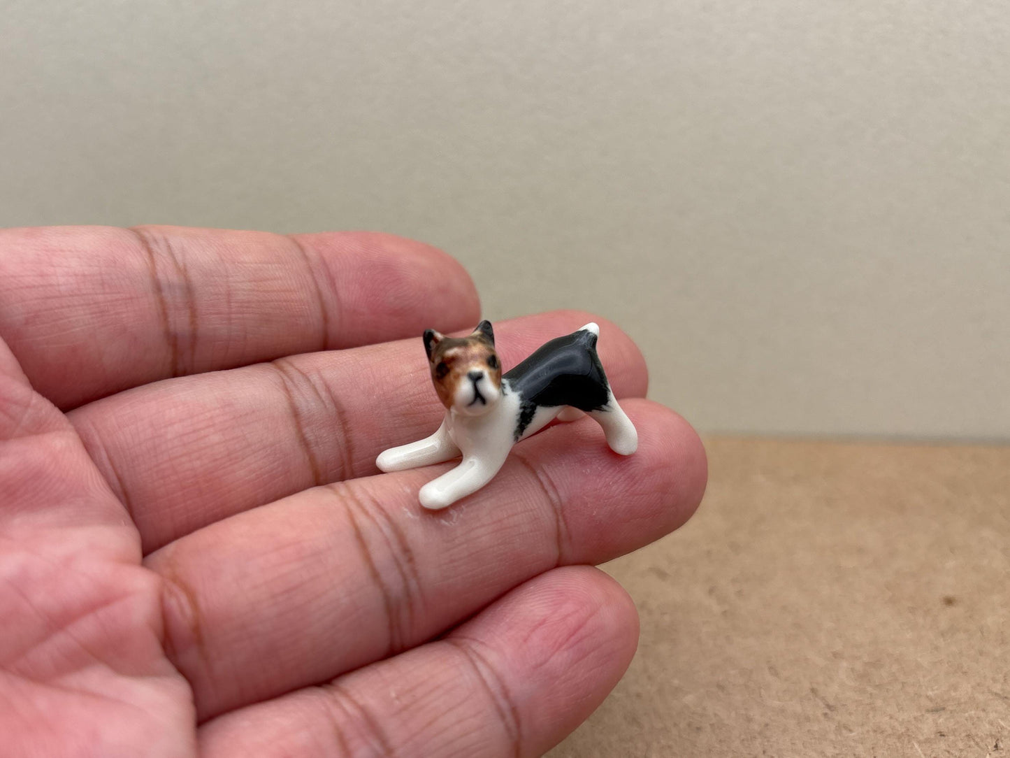 Tiny Miniature Dogs