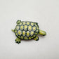 Red-Eared Slider Turtle