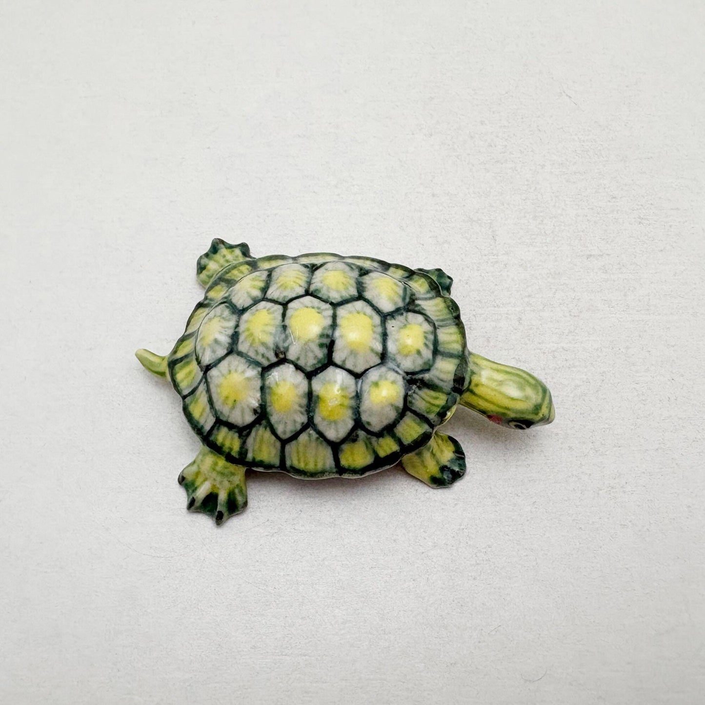 Red-Eared Slider Turtle