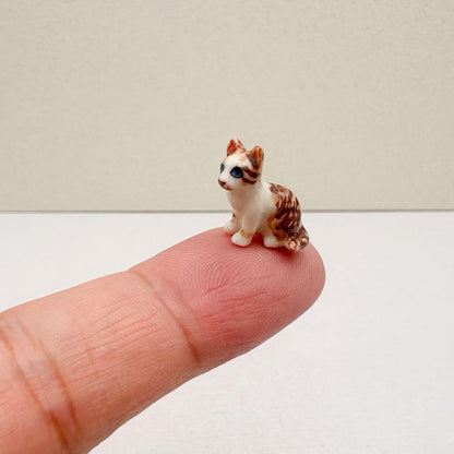 Tiny Tabby Cat