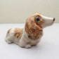 Long-Haired Dachshund