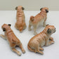 Classic Fawn Pugs