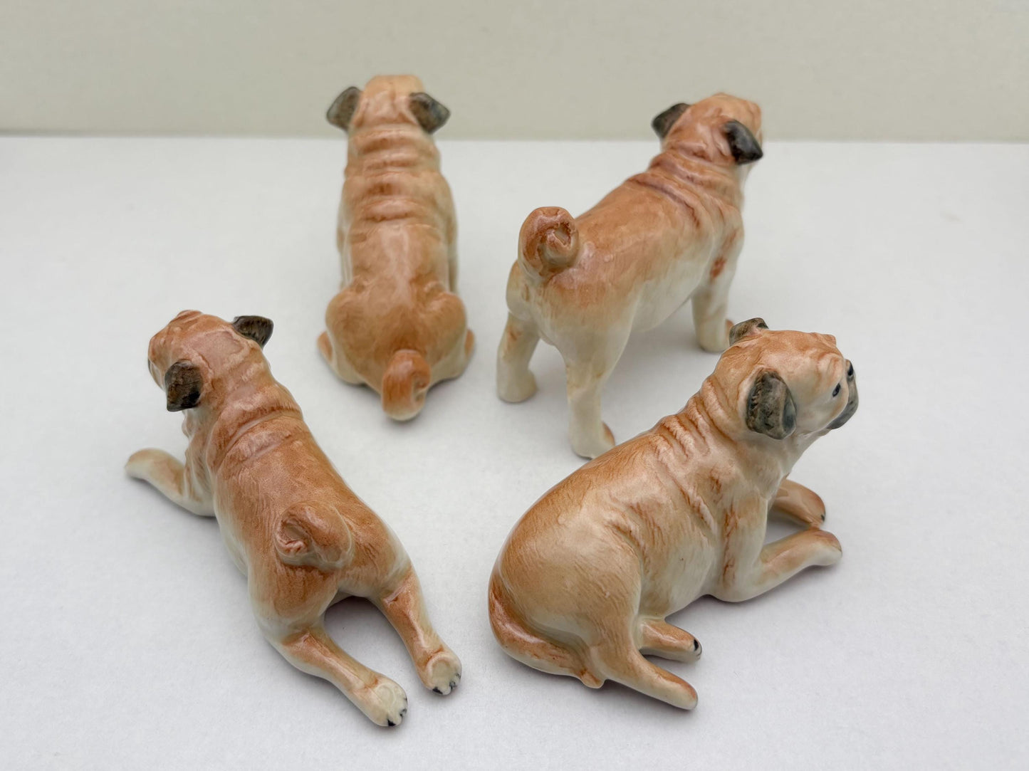Classic Fawn Pugs