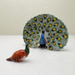 2 Peacocks