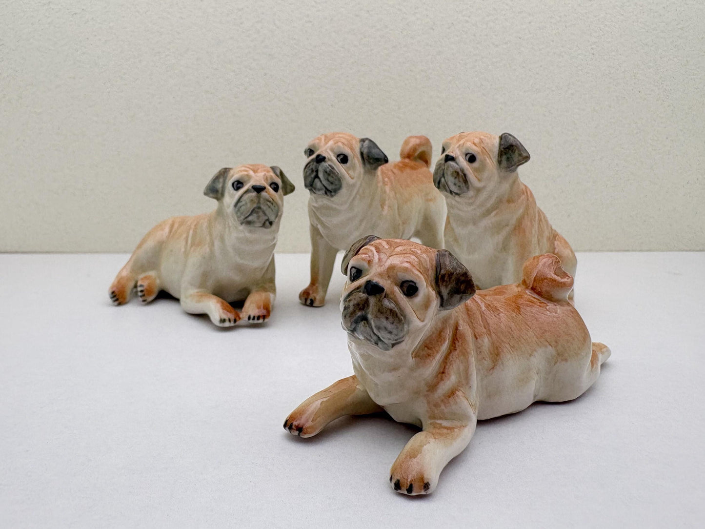 Classic Fawn Pugs