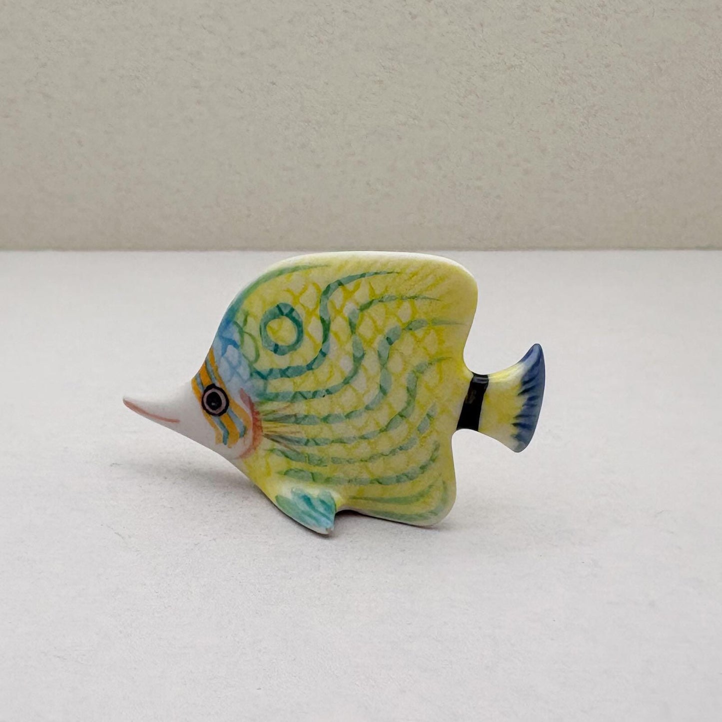 Tropical Butterflyfish