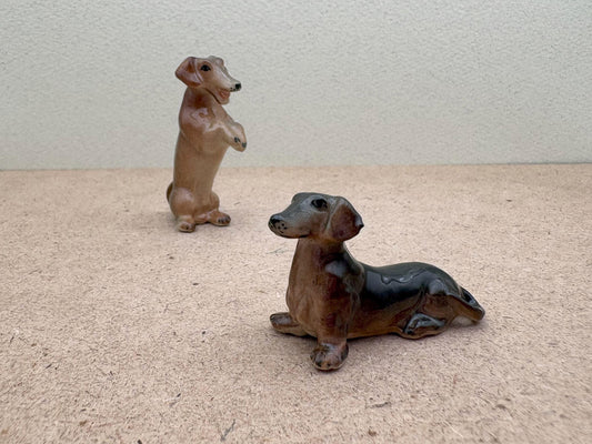 Sitting & Begging Dachshunds