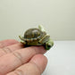 Green Turtle