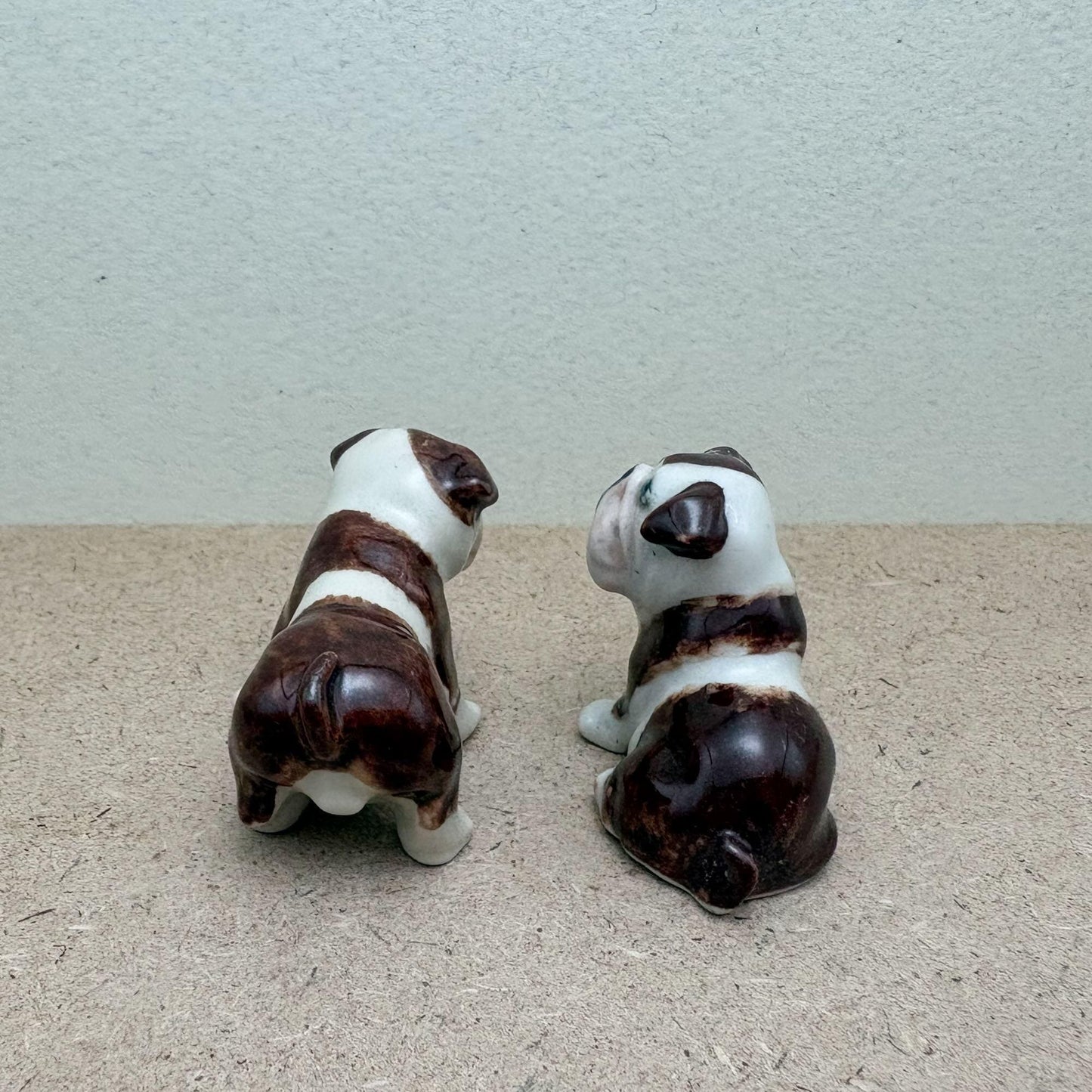 Bulldogs, Sitting and Standing Poses