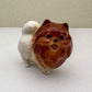 Reddish-Brown Pomeranian set