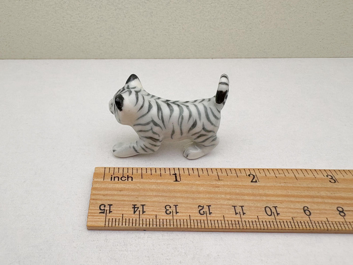 White Tiger Cub
