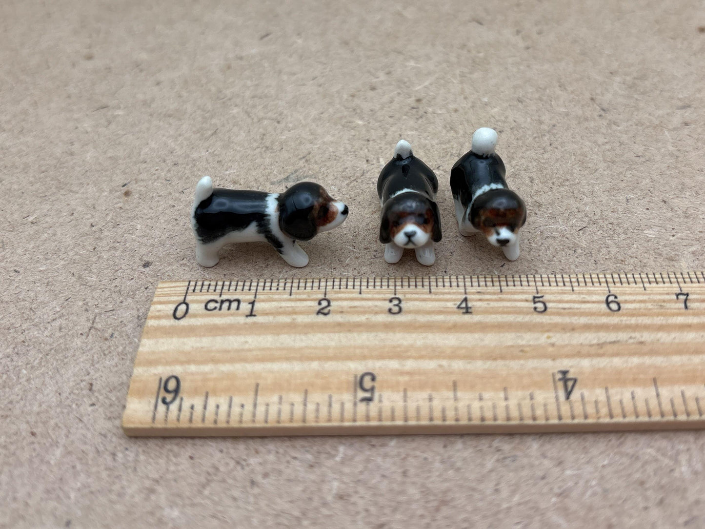 Tiny Miniature Dogs