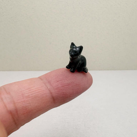 The Shadow Kitten
