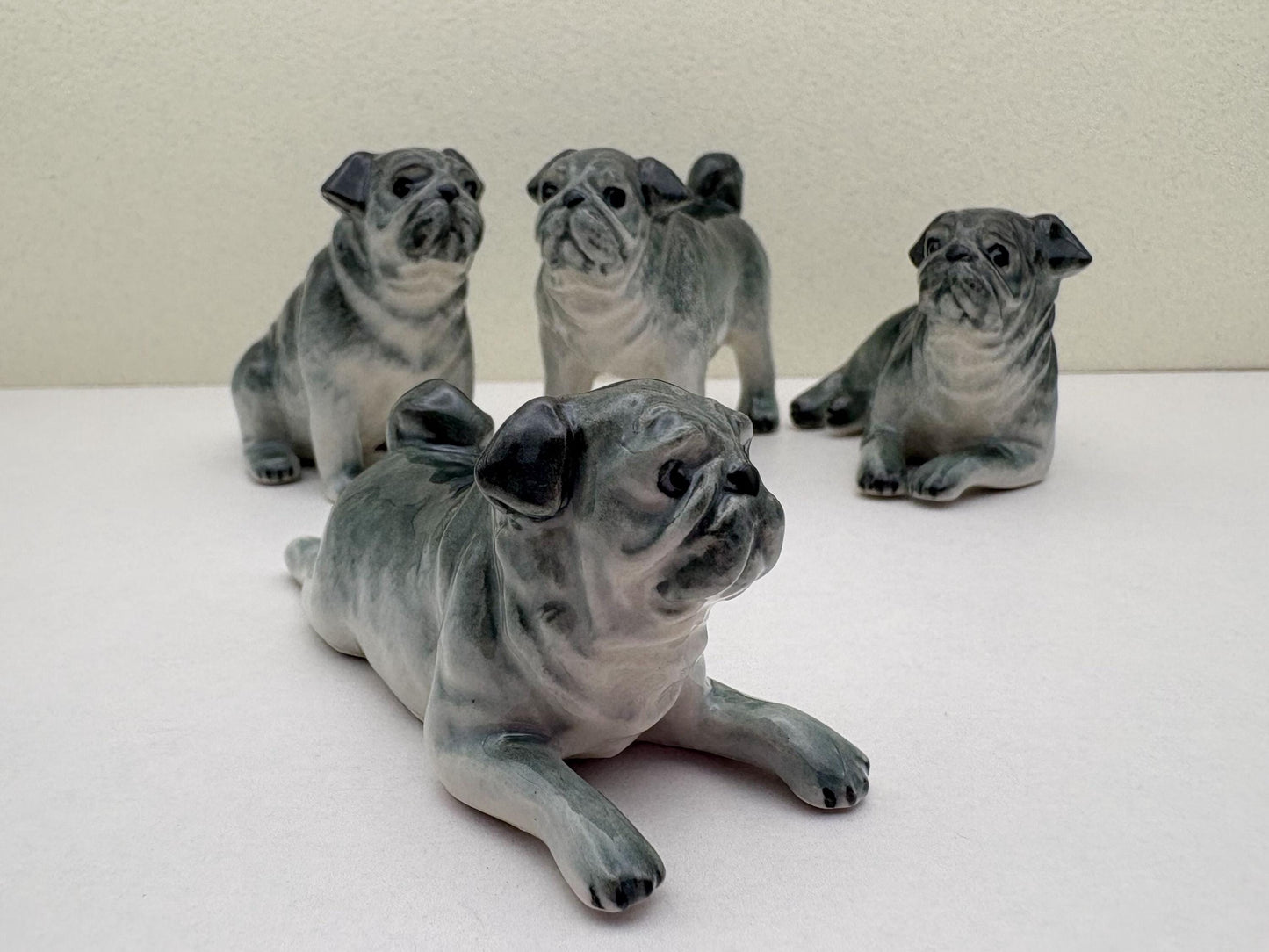 Sleek Black Pugs
